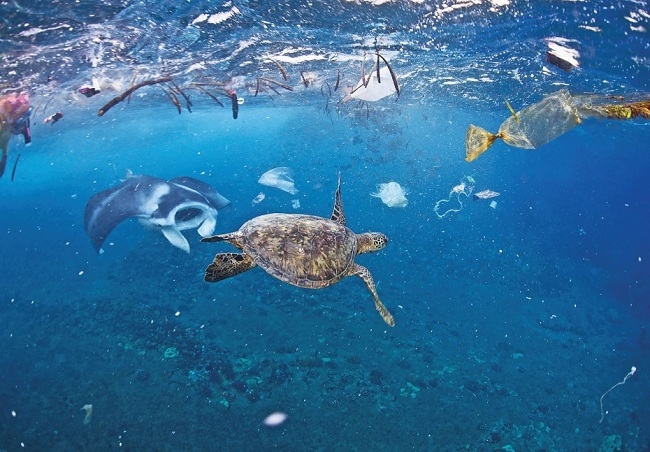 Renforcement de la gestion des déchets plastiques au Vietnam